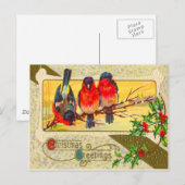 Vögel & Stechpalme Postkarte (Vorne/Hinten)