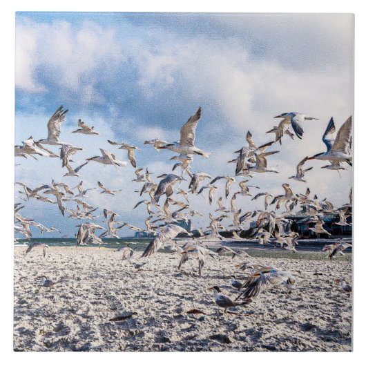 Vögel steigen fliese (Vorderseite)