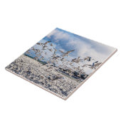 Vögel steigen fliese (Seite)