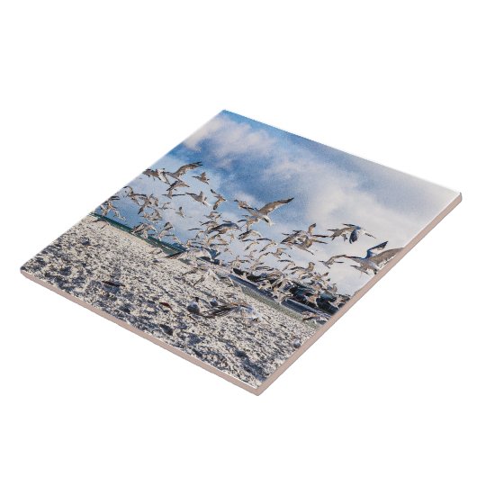 Vögel steigen fliese (Seite)