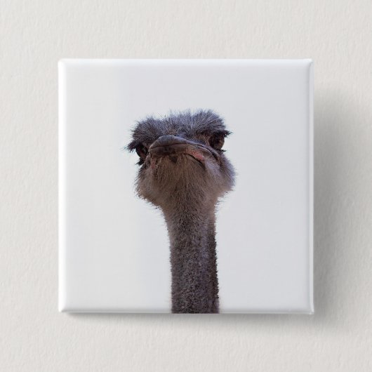 Vogel Strauß Button (Vorderseite)