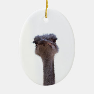 Vogel Strauß Keramik Ornament