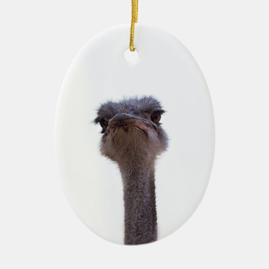 Vogel Strauß Keramik Ornament (Vorne)