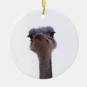 Vogel Strauß Keramik Ornament
