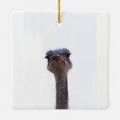 Vogel Strauß Keramikornament (Rückseite)