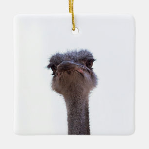 Vogel Strauß Keramikornament