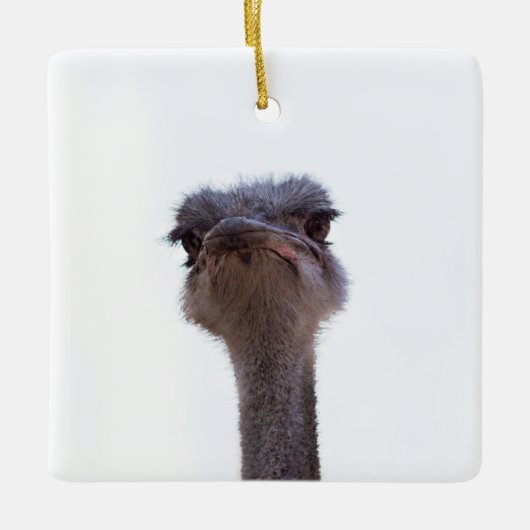 Vogel Strauß Keramikornament (Vorderseite)