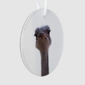 Vogel Strauß Ornament (Vorderseite)