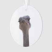 Vogel Strauß Ornament (Vorderseite)