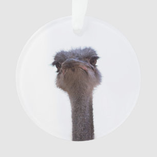 Vogel Strauß Ornament
