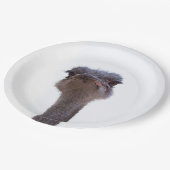 Vogel Strauß Pappteller (Schrägansicht)