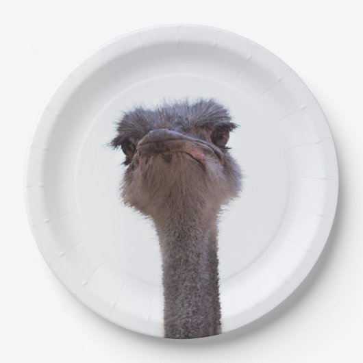 Vogel Strauß Pappteller (Vorderseite)