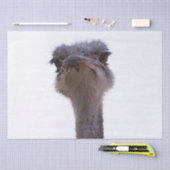 Vogel Strauß Seidenpapier (Handwerk)