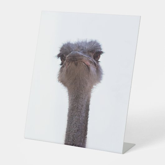 Vogel Strauß Sockelschild (Vorderseite)