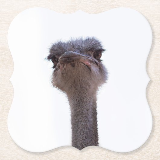 Vogel Strauß Untersetzer (Vorderseite)
