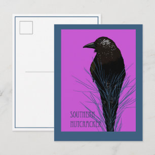 Vogel -- Südlicher Tannenhäher Postkarte