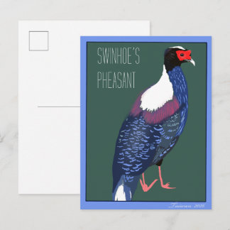 Vogel -- Swinhoe-Fasan Postkarte