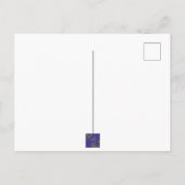 Vogel -- Swinhoe-Fasan Postkarte (Rückseite)