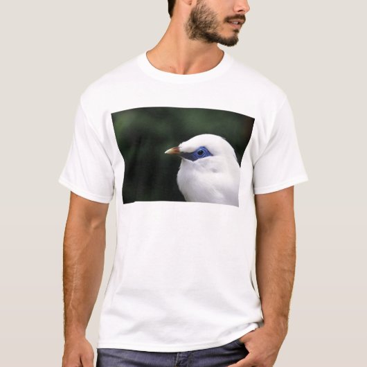 Vögel T-Shirt (Vorderseite)
