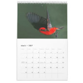 Vogel-Tier-Wandkalender 2017 Kalender (Mär 2027)
