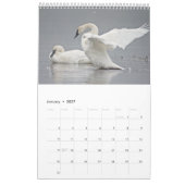 Vogel-Tier-Wandkalender 2017 Kalender (Jan 2027)