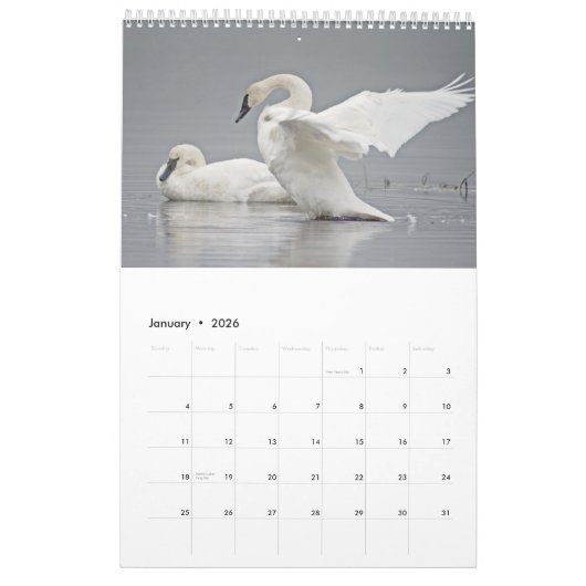Vogel-Tier-Wandkalender 2017 Kalender (Jan 2026)