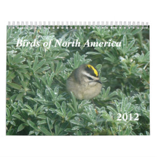 Vögel tragen 2012 ein kalender