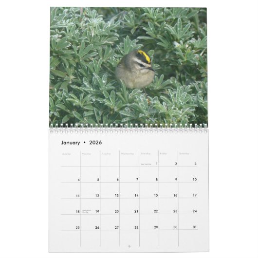 Vögel tragen 2012 ein kalender (Jan 2026)