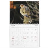 Vögel tragen mit großen Zahlen ein Kalender (Mär 2027)
