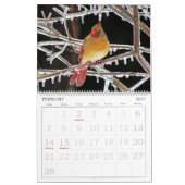 Vögel tragen mit großen Zahlen ein Kalender (Feb 2027)