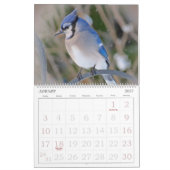 Vögel tragen mit großen Zahlen ein Kalender (Jan 2027)