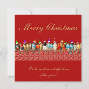 Vögel tragen Weihnachtsmannmützen Weihnachtsgrüße Karte
