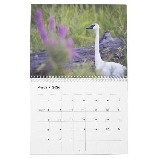Vogel-u. Blüten-12-monatiger Kalender (Mär 2026)