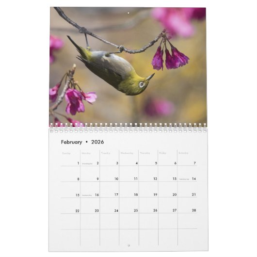 Vogel-u. Blüten-12-monatiger Kalender (Feb 2026)