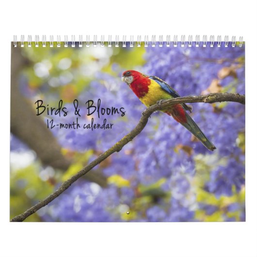 Vogel-u. Blüten-12-monatiger Kalender (Titelbild)