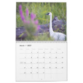 Vogel-u. Blüten-12-monatiger Kalender (Mär 2027)