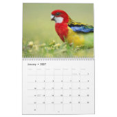 Vogel-u. Blüten-12-monatiger Kalender (Jan 2027)