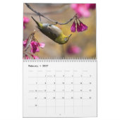 Vogel-u. Blüten-12-monatiger Kalender (Feb 2027)
