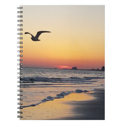 Vogel über Atlantic City Notebook Notizblock (Vorderseite)