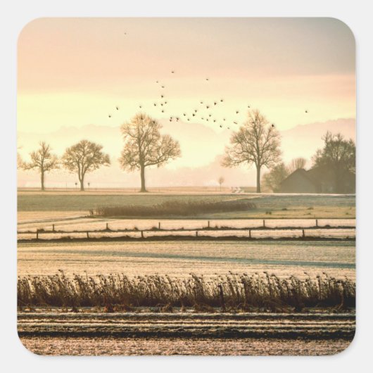 Vögel über Weiden und Wiesen Quadratischer Aufkleber (Vorderseite)
