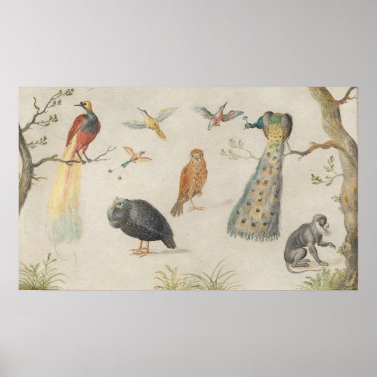 Vögel und Affen - Jan van Kessel Fine Art Poster (Vorne)