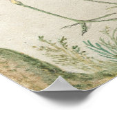 Vögel und Affen - Jan van Kessel Fine Art Poster (Ecke)