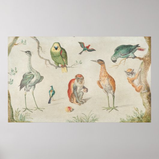 Vögel und Affen - Jan van Kessel Fine Art Poster (Vorne)
