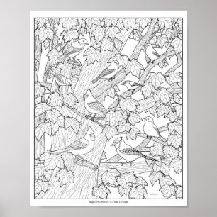 Vögel und Ahornbaum Erwachsenen-Malvorlage 25x20cm Poster