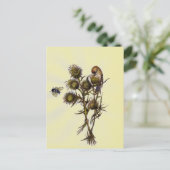 Vogel und Biene Postkarte (Stehend Vorderseite)