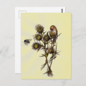 Vogel und Biene Postkarte (Vorne/Hinten)