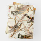 Vögel und Bienen Geschenkpapier Set (Beispiel)