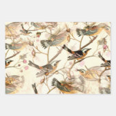 Vögel und Bienen Geschenkpapier Set (Vorderseite)