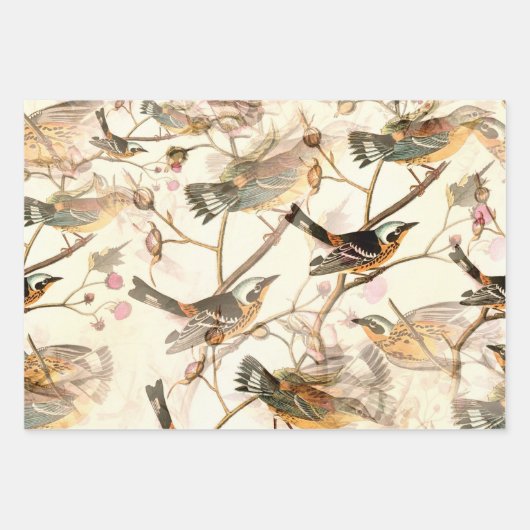 Vögel und Bienen Geschenkpapier Set (Vorderseite)