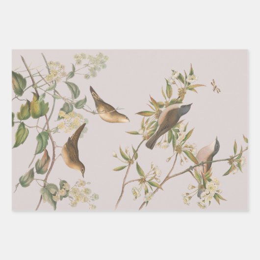 Vögel und Blätter, romantische Hochzeit Geschenkpapier Set (Vorderseite)
